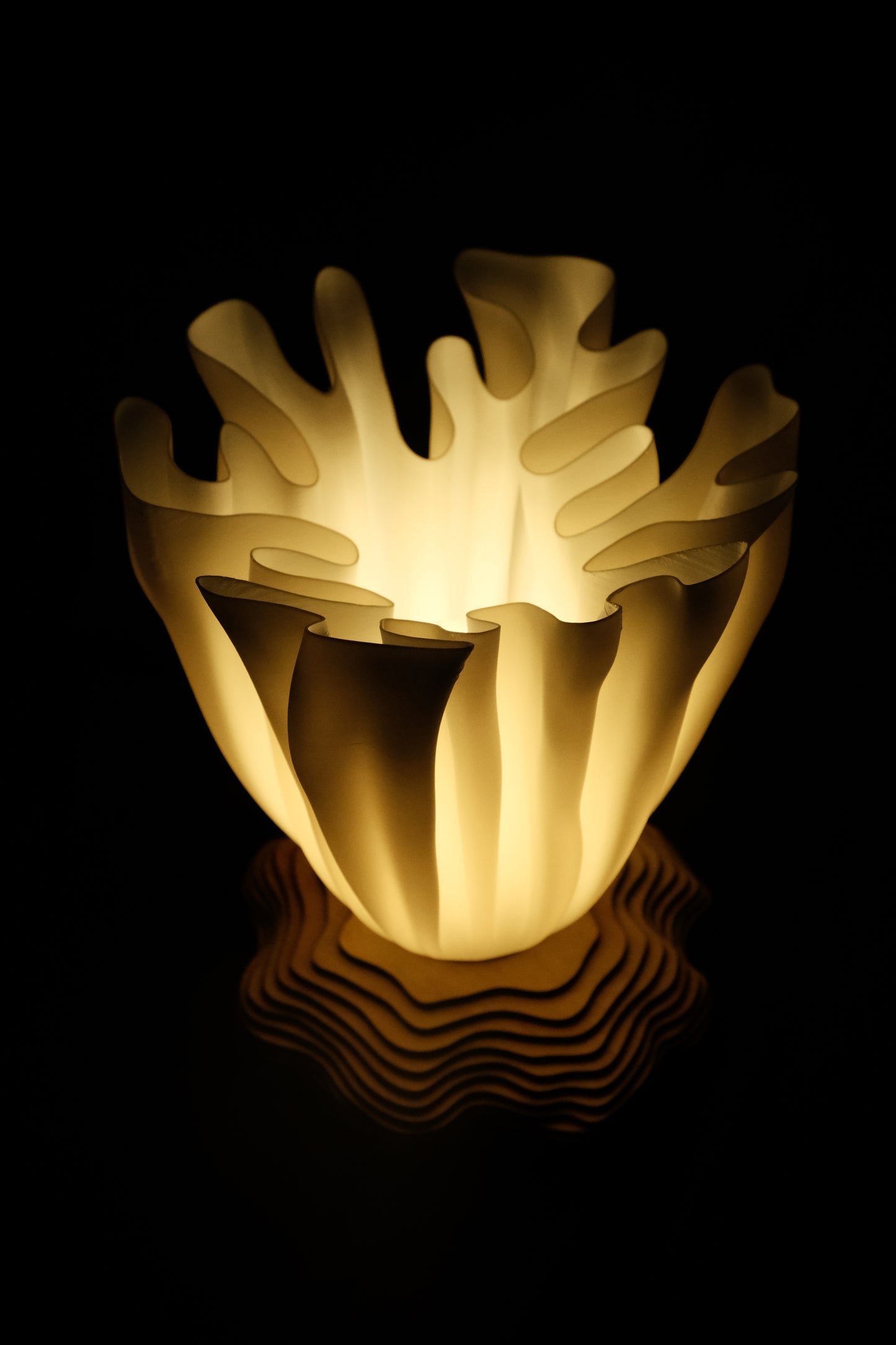 BELLE LAMP - Cluster of 3