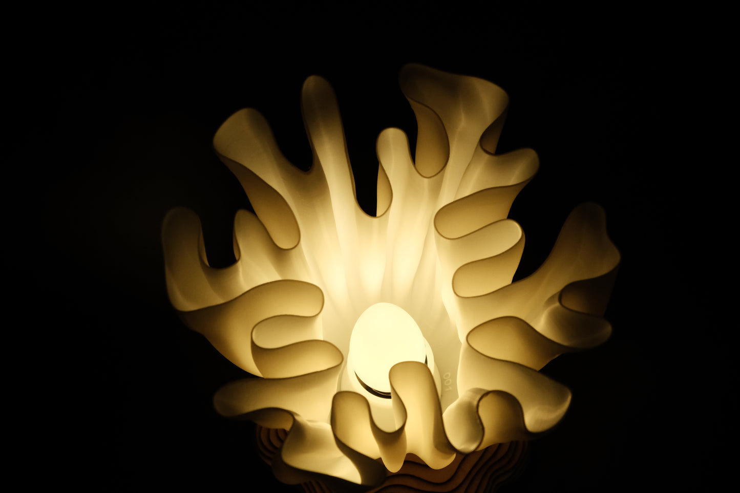 CORALESCENCE EPIPHYTE LAMP