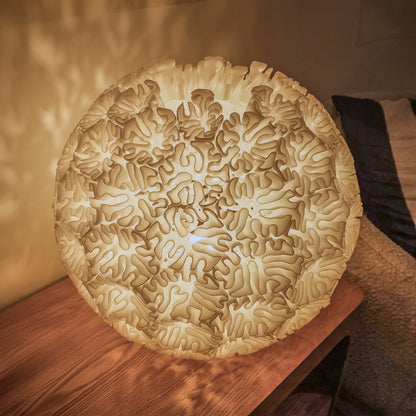 FLORASPHERE Lamp