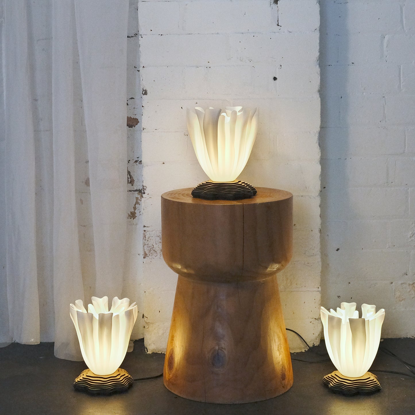 CORALESCENCE EPIPHYTE LAMP CLUSTER