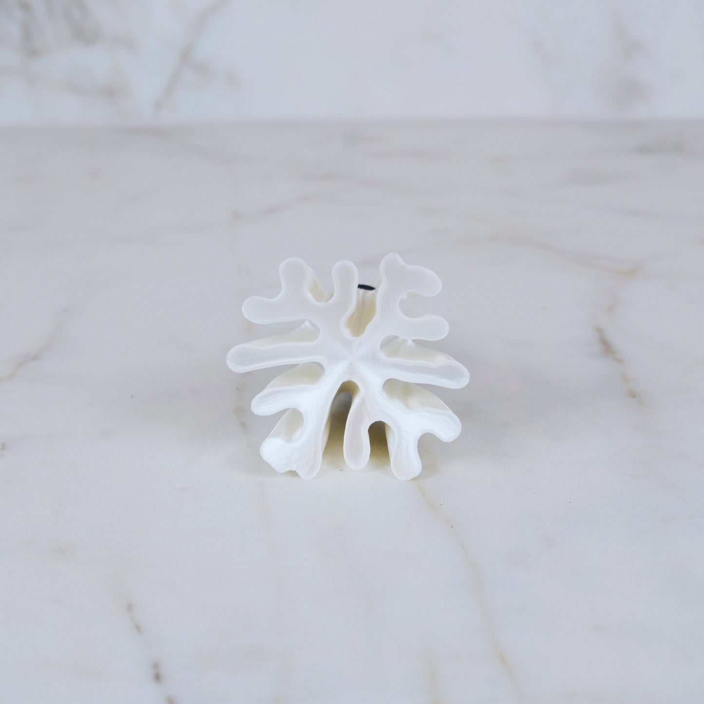 CORALINE Wine Stopper